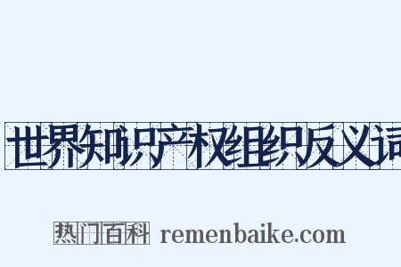 世界知识产权组织反义词是什么意思的图片